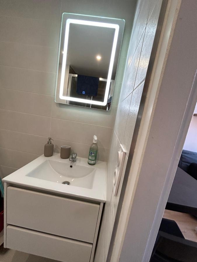 Ferienwohnung Le Cygne Blanc Toulouse Exterior foto