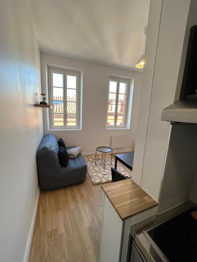 Ferienwohnung Le Cygne Blanc Toulouse Exterior foto
